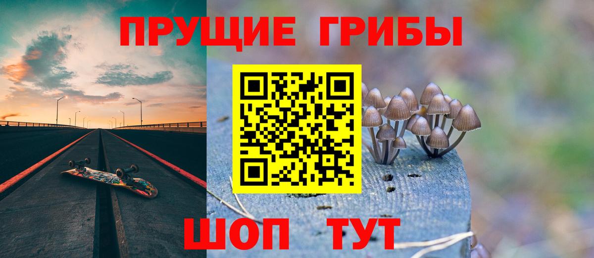Галлюциногенные грибы Psilocybine cubensis  Вход с VPN  Менделеевск 
